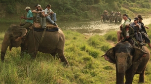 Chitwan Elephant Safari